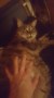 Missy_Leila (1)